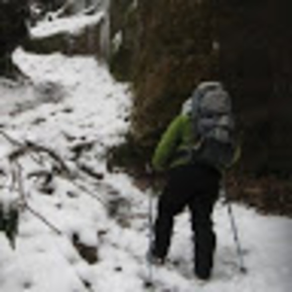 Meet your Posher, Kelly - Picture 1 of 1